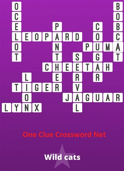 HINTS AND. . Crossword clue wild cat